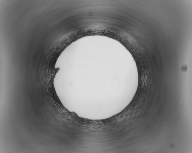 X0000097301062200803141527