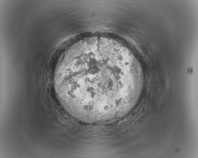 X0000097301063200803141527