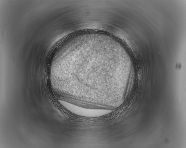 X0000097301064200803141527