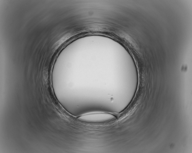 X0000097301065200803141527