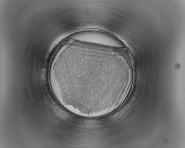 X0000097301066200803141527