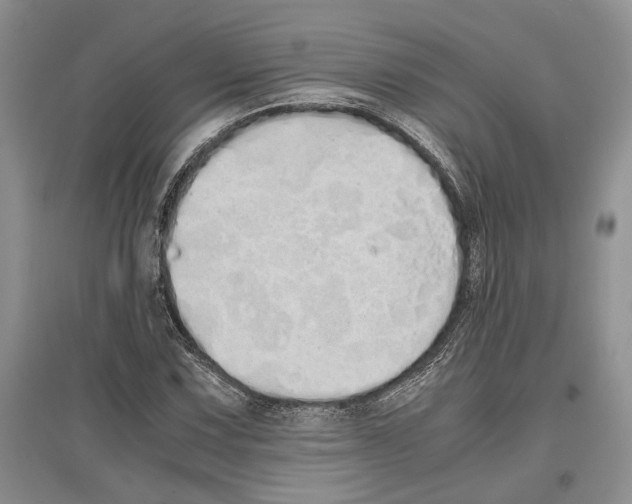 X0000097301067200803141527