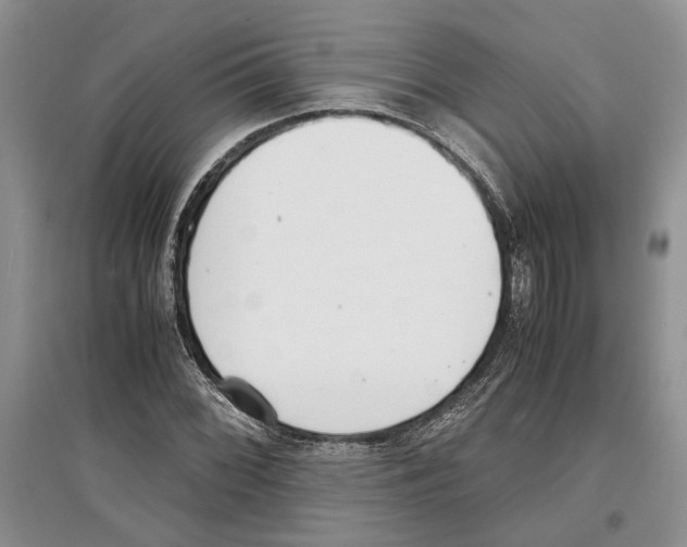 X0000097301068200803141527