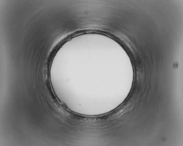 X0000097301069200803141527
