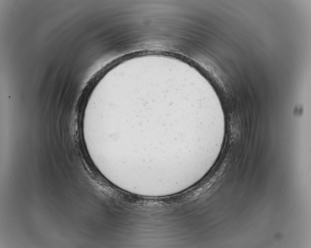 X0000097301070200803141527
