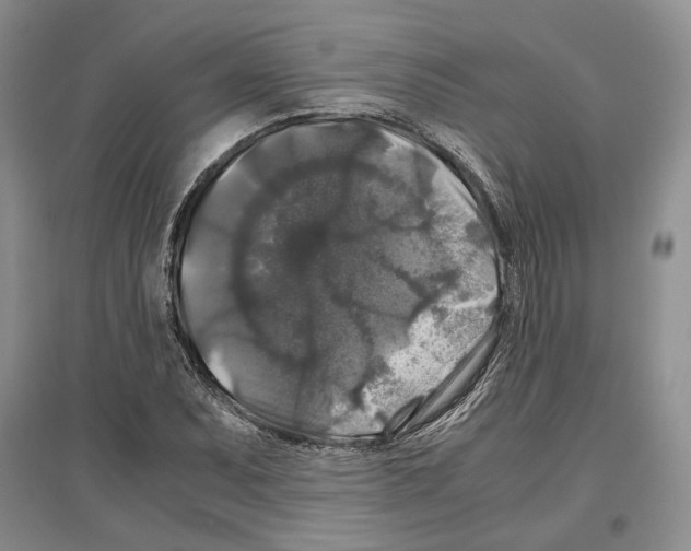 X0000097301071200803141527