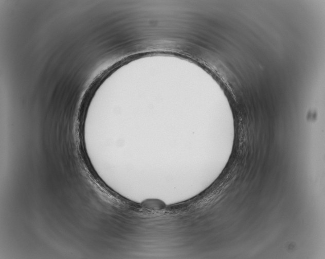 X0000097301072200803141527