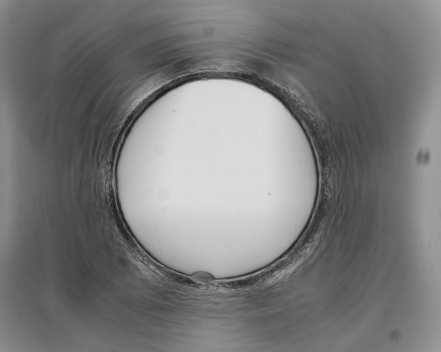 X0000097301073200803141527