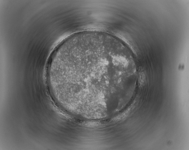 X0000097301074200803141527