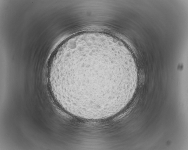 X0000097301075200803141527