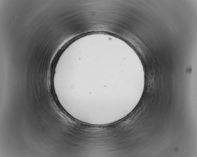 X0000097301076200803141527