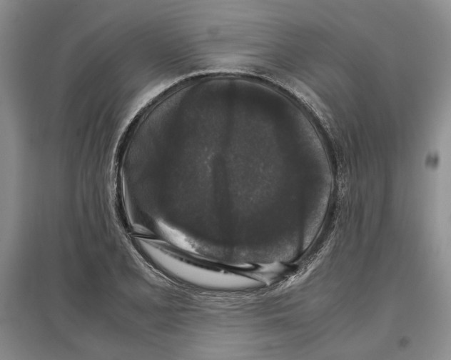 X0000097301077200803141527
