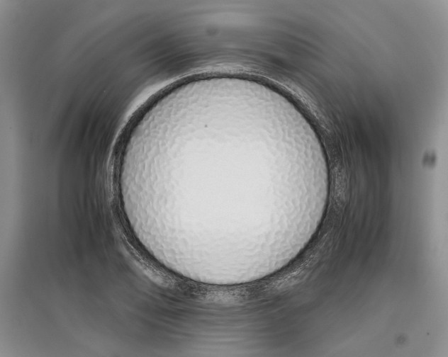 X0000097301078200803141527