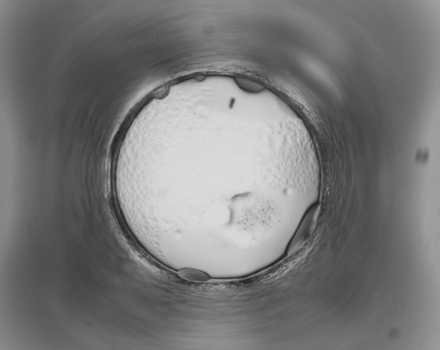 X0000097301079200803141527