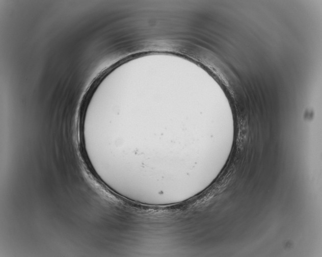 X0000097301080200803141527