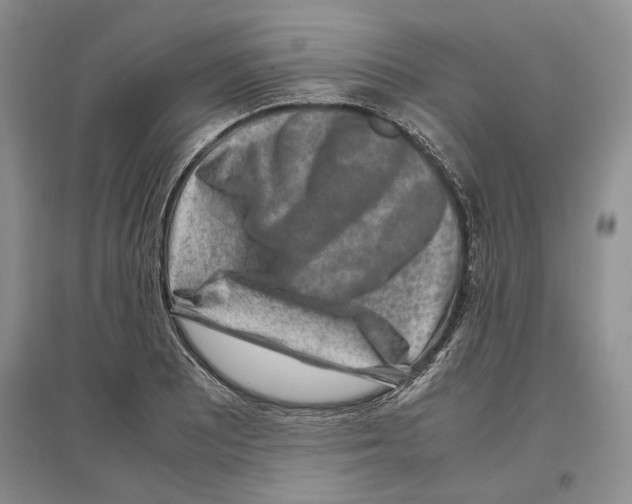 X0000097301081200803141527