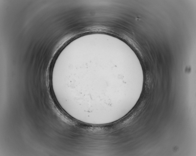X0000097301082200803141527