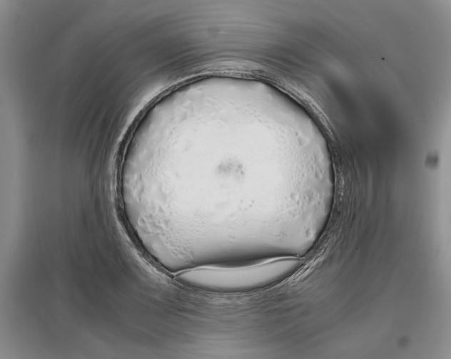 X0000097301083200803141527