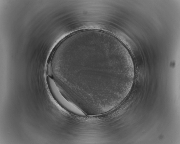 X0000097301084200803141527