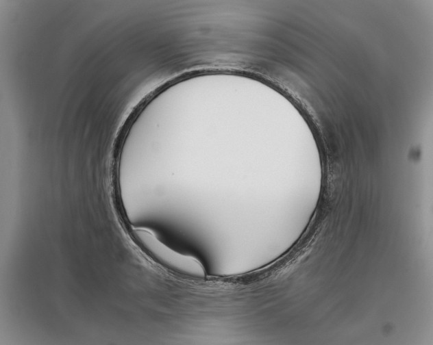 X0000097301085200803141527