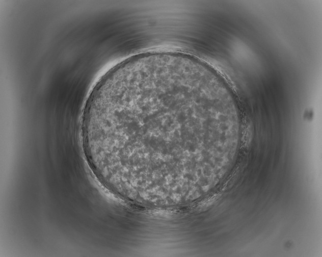 X0000097301086200803141527