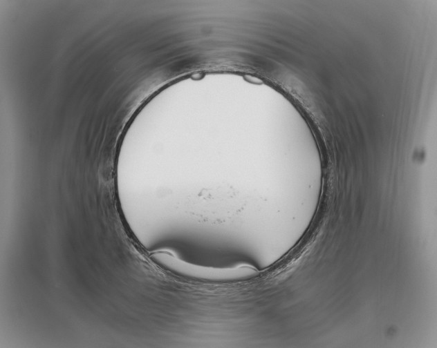 X0000097301089200803141527