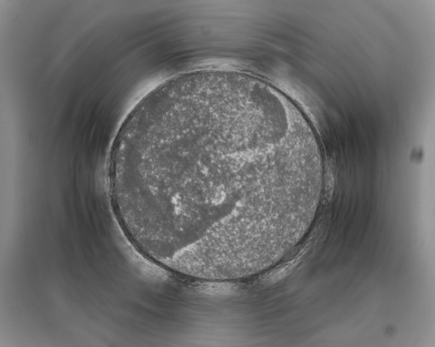 X0000097301090200803141527