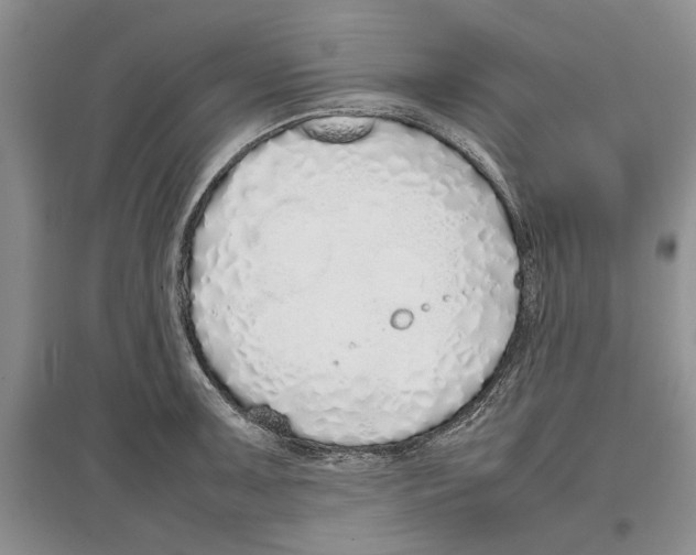 X0000097301091200803141527