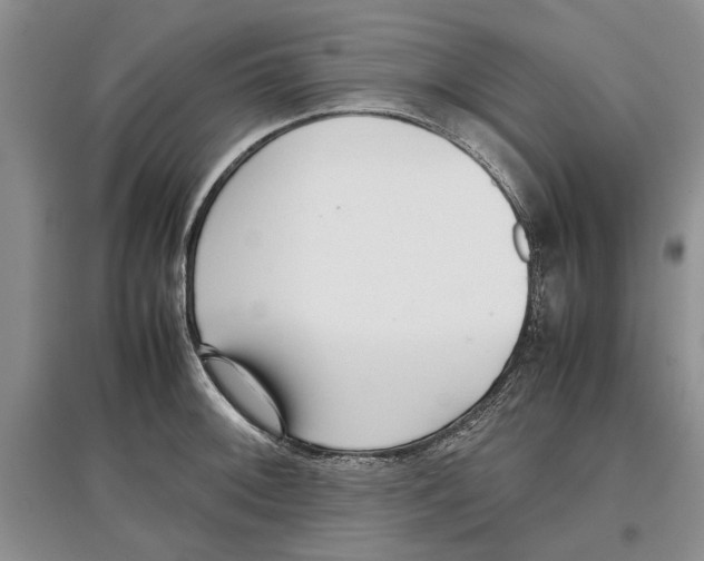 X0000097301092200803141527