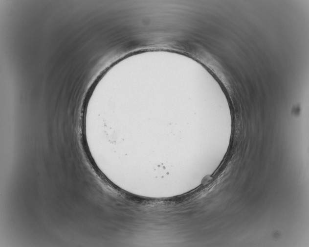 X0000097301093200803141527