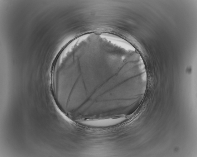 X0000097301095200803141527