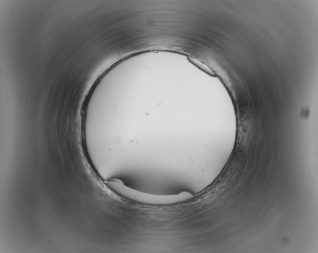 X0000097301096200803141527