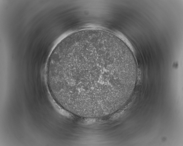 X0000097301098200803141527