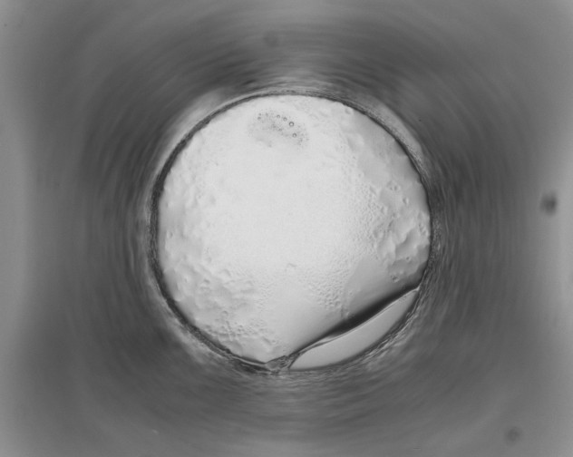 X0000097301099200803141527