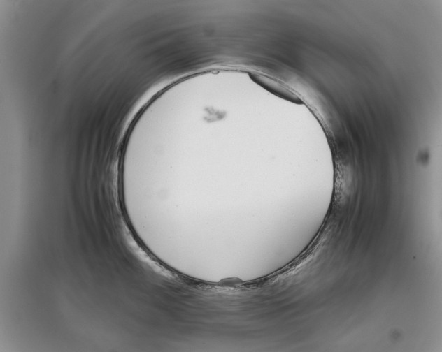 X0000097301100200803141527