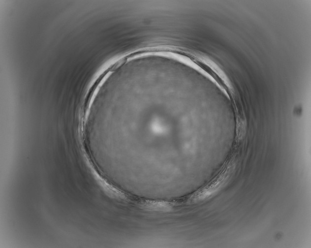X0000097301101200803141527
