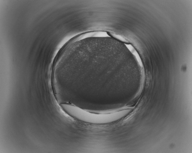 X0000097301102200803141527
