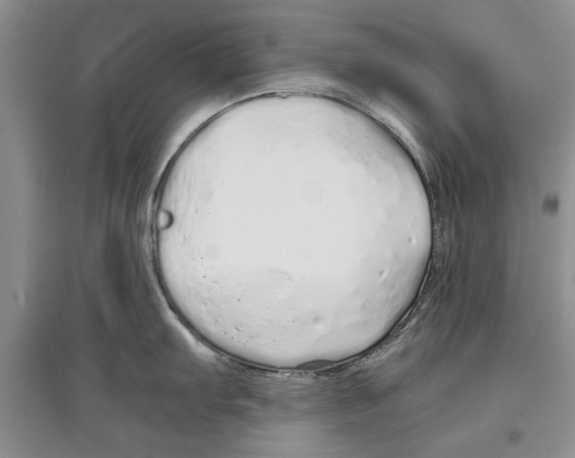 X0000097301103200803141527