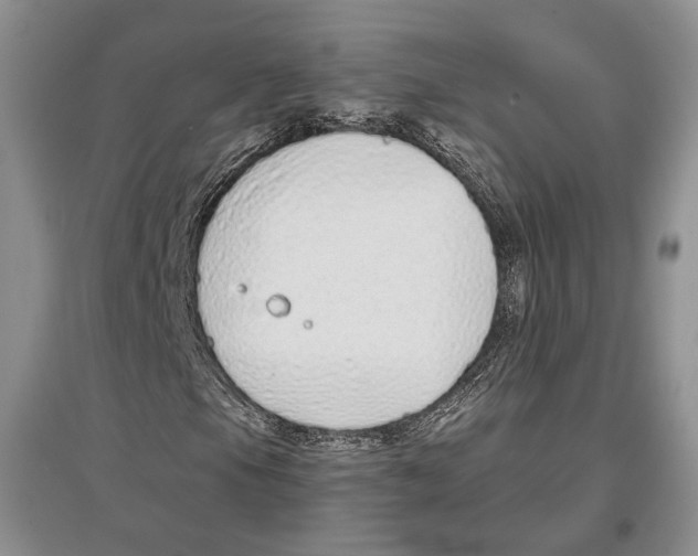 X0000097301105200803141526
