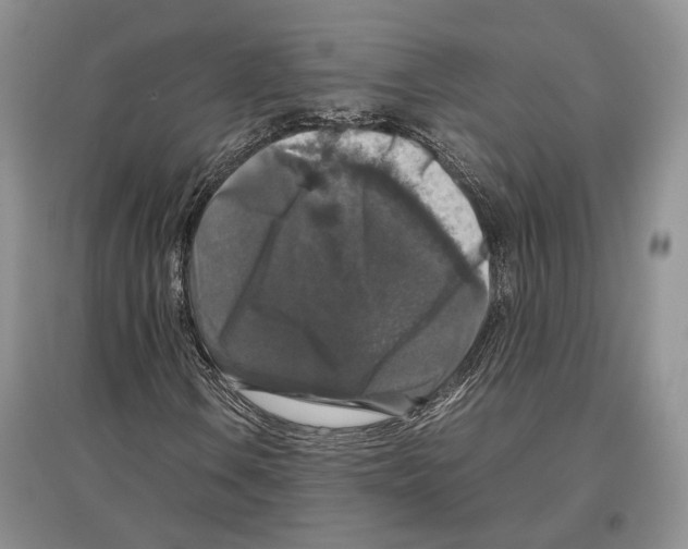 X0000097301106200803141526