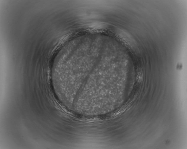 X0000097301108200803141526