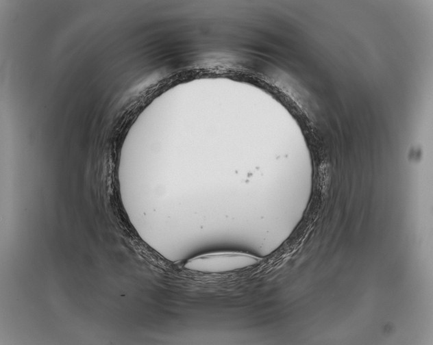 X0000097301111200803141526