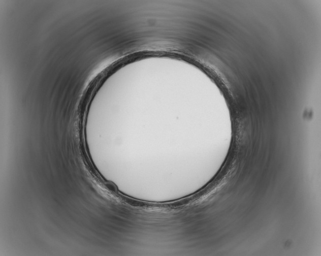 X0000097301114200803141526