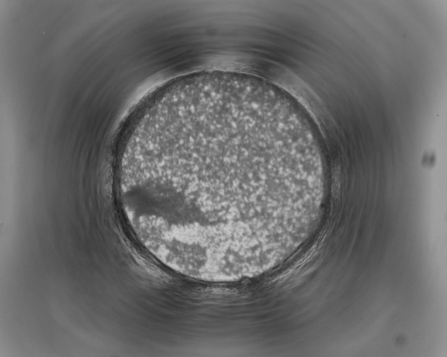 X0000097301115200803141526