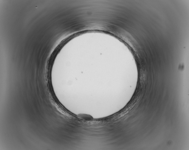 X0000097301116200803141526