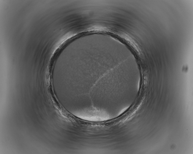 X0000097301117200803141526