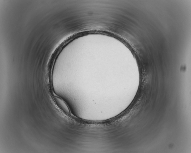 X0000097301118200803141526