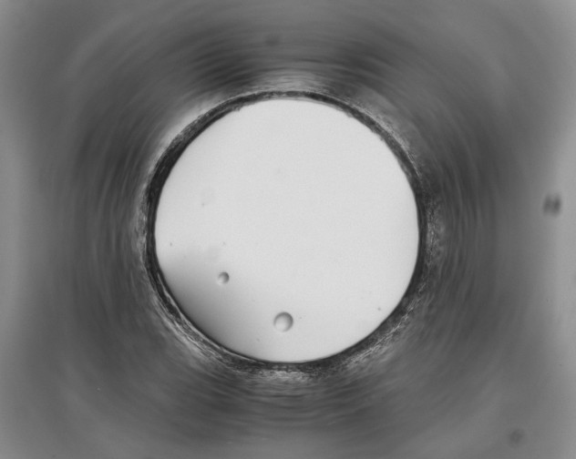 X0000097301119200803141526