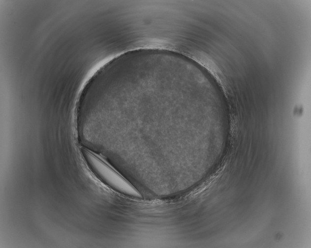 X0000097301120200803141526