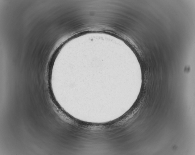 X0000097301122200803141526